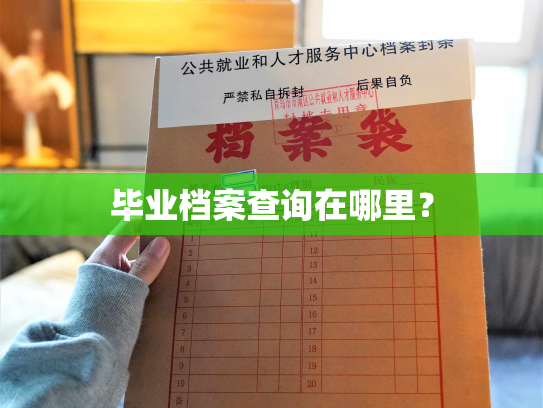毕业档案查询在哪里？