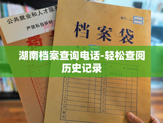 湖南档案查询电话-轻松查阅历史记录