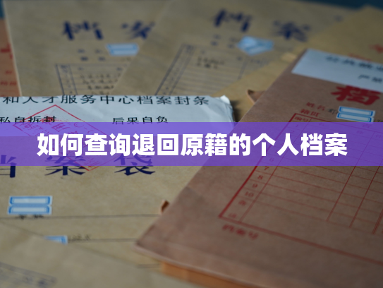 如何查询退回原籍的个人档案