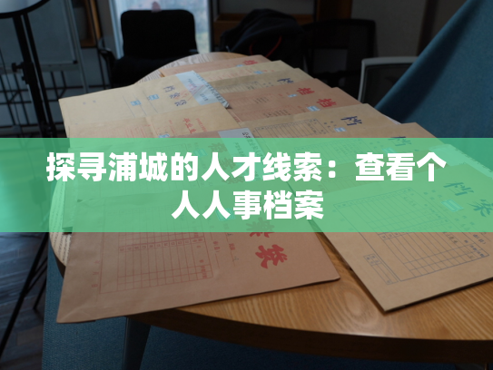 探寻浦城的人才线索：查看个人人事档案