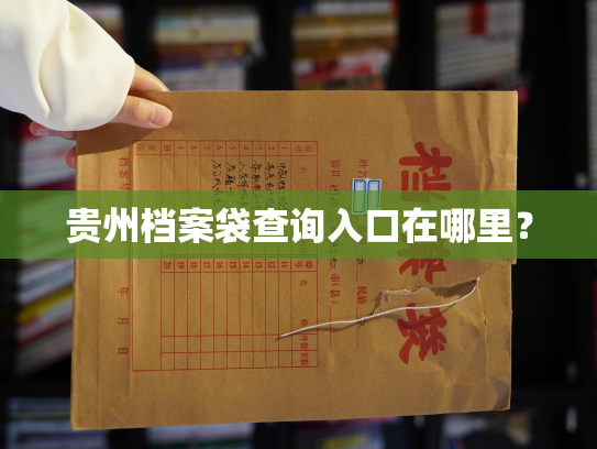 贵州档案袋查询入口在哪里？