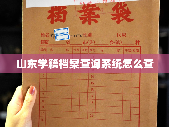 山东学籍档案查询系统怎么查
