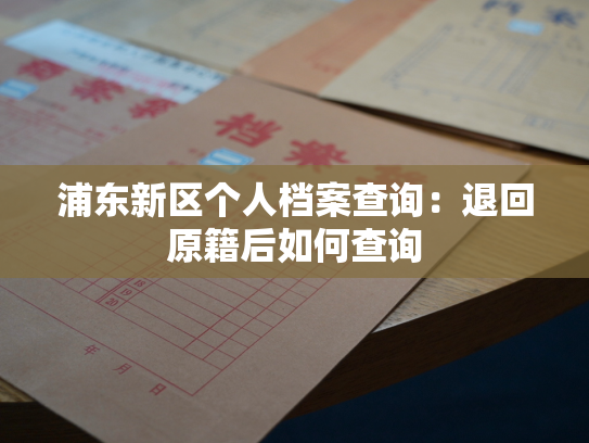浦东新区个人档案查询：退回原籍后如何查询