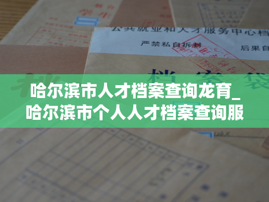 哈尔滨市人才档案查询龙育_哈尔滨市个人人才档案查询服务