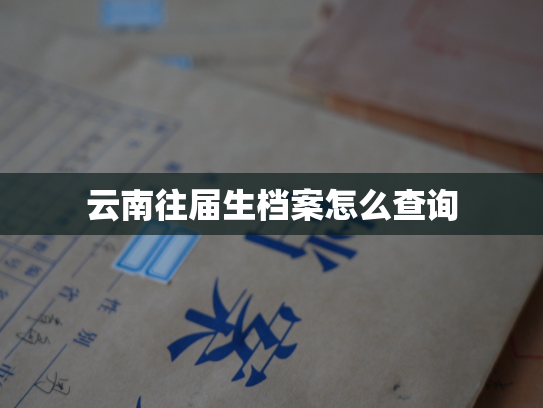 云南往届生档案怎么查询