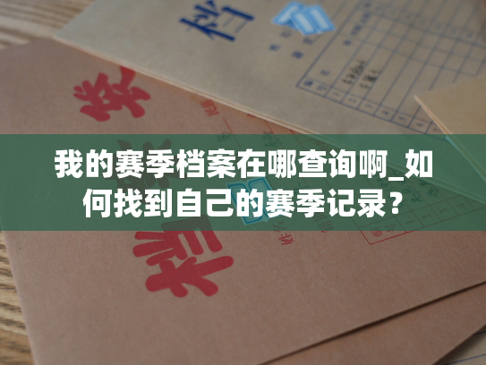 我的赛季档案在哪查询啊_如何找到自己的赛季记录？