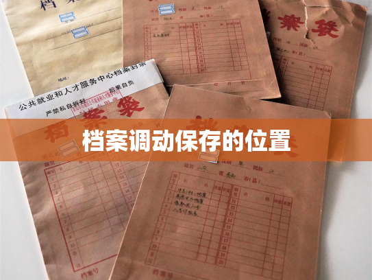 档案调动保存的位置