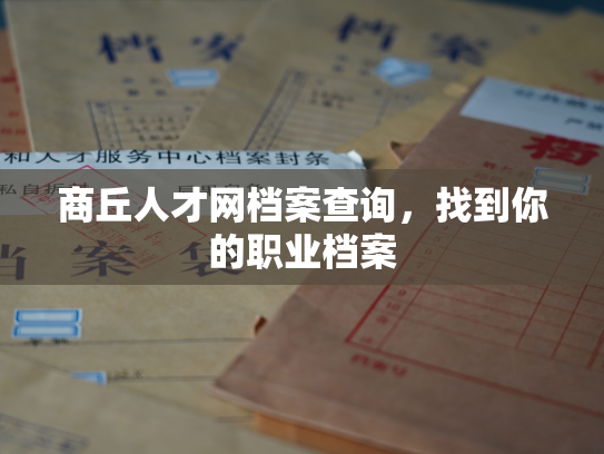 商丘人才网档案查询，找到你的职业档案