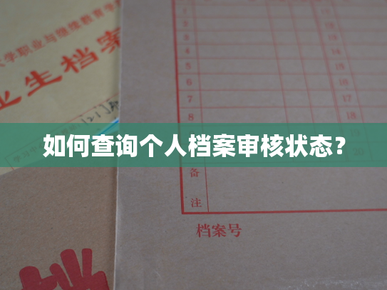 如何查询个人档案审核状态？