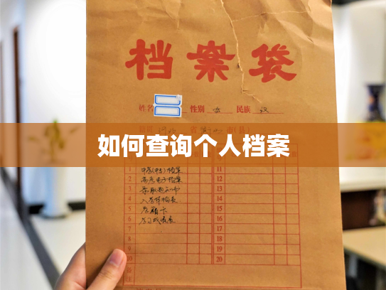 如何查询个人档案