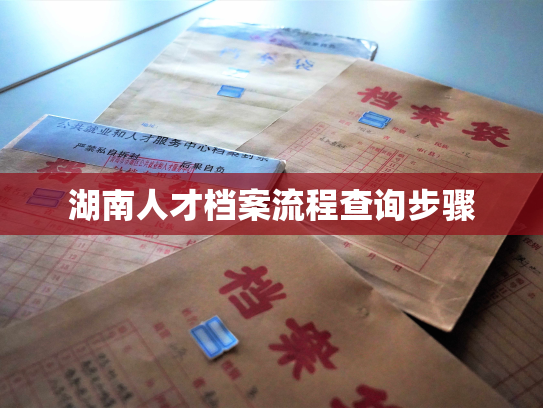 湖南人才档案流程查询步骤