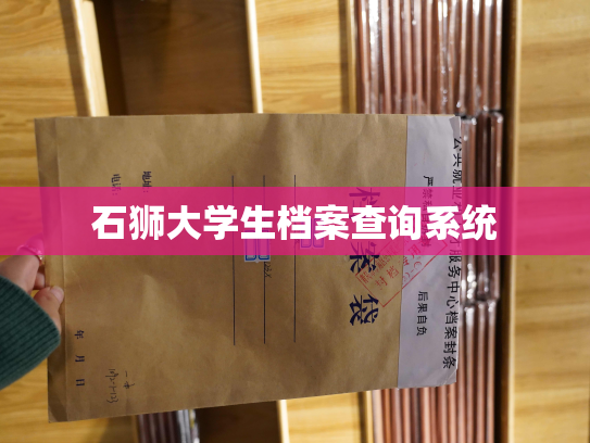 石狮大学生档案查询系统