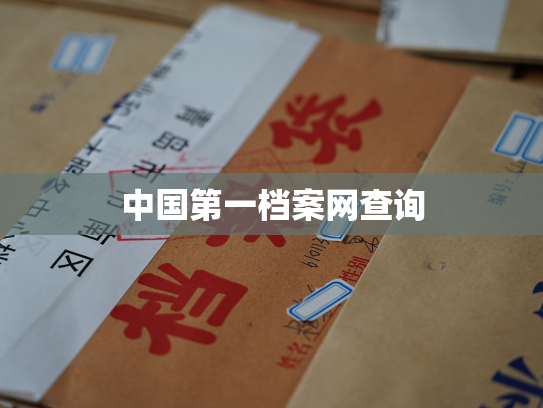 中国第一档案网查询
