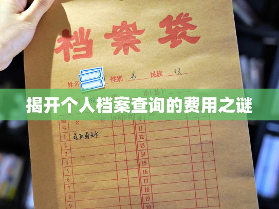 揭开个人档案查询的费用之谜