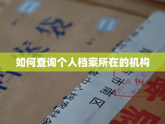 如何查询个人档案所在的机构