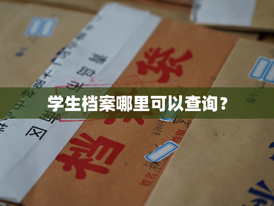 学生档案哪里可以查询？