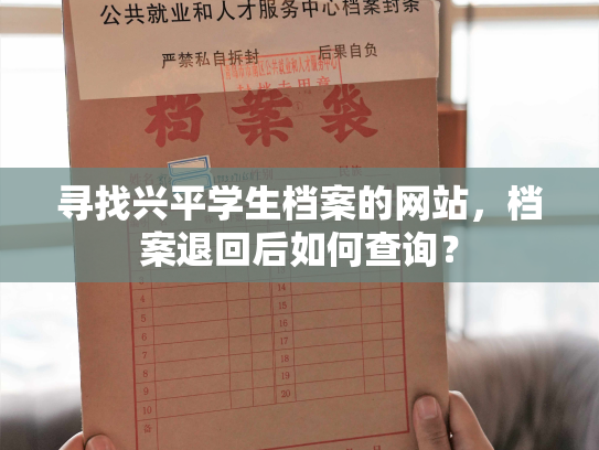 寻找兴平学生档案的网站，档案退回后如何查询？