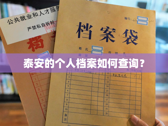 泰安的个人档案如何查询？
