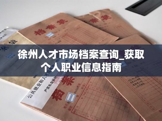 徐州人才市场档案查询_获取个人职业信息指南