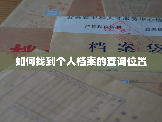 如何找到个人档案的查询位置