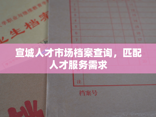 宣城人才市场档案查询，匹配人才服务需求