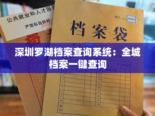 深圳罗湖档案查询系统：全城档案一键查询