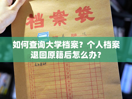 如何查询大学档案？个人档案退回原籍后怎么办？