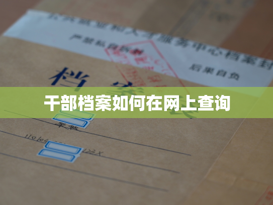 干部档案如何在网上查询