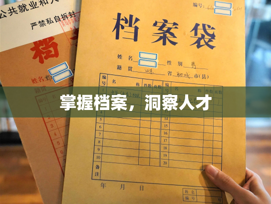 掌握档案，洞察人才
