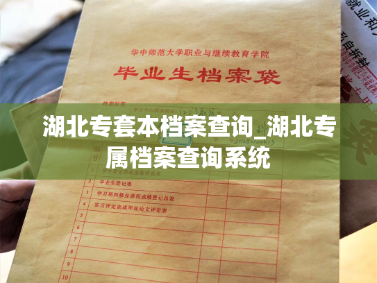 湖北专套本档案查询_湖北专属档案查询系统