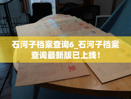石河子档案查询6_石河子档案查询最新版已上线！