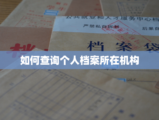 如何查询个人档案所在机构