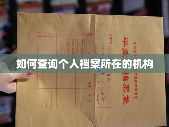 如何查询个人档案所在的机构