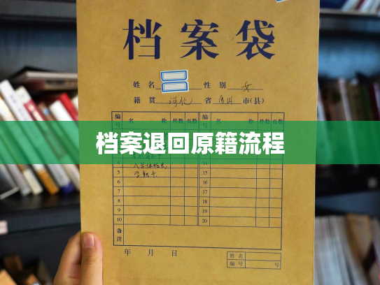 档案退回原籍流程