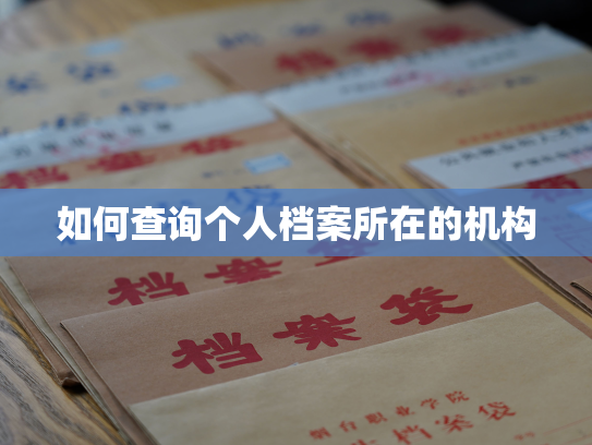 如何查询个人档案所在的机构