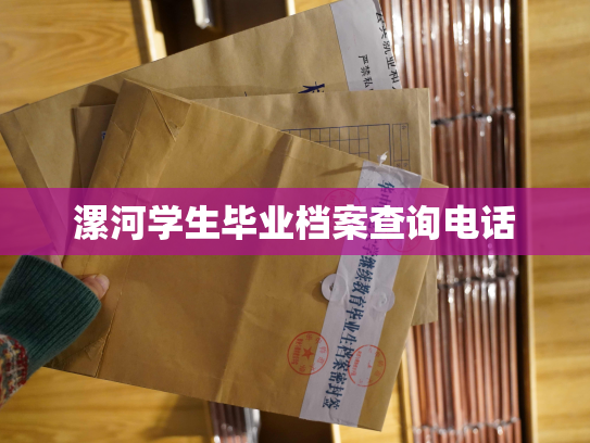 漯河学生毕业档案查询电话