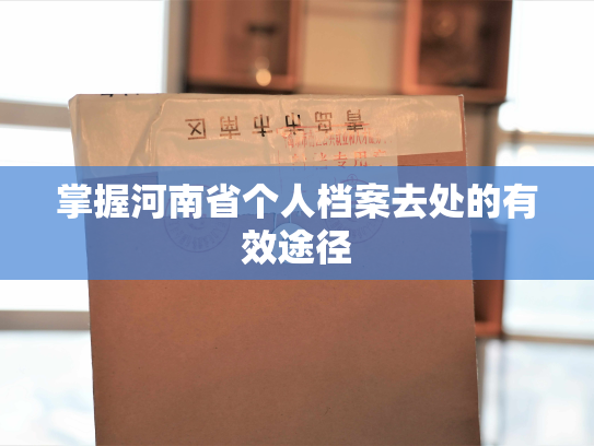 掌握河南省个人档案去处的有效途径