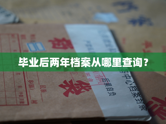 毕业后两年档案从哪里查询？