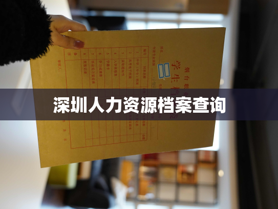 深圳人力资源档案查询
