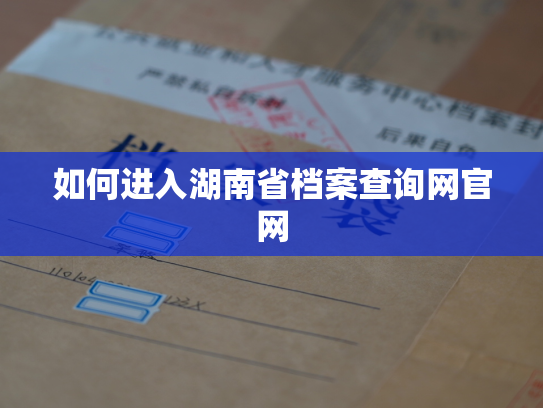 如何进入湖南省档案查询网官网