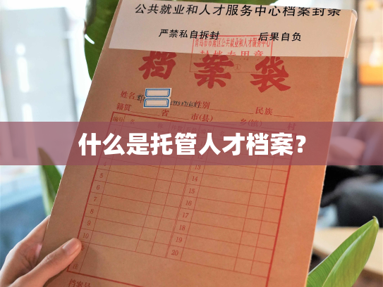 什么是托管人才档案？