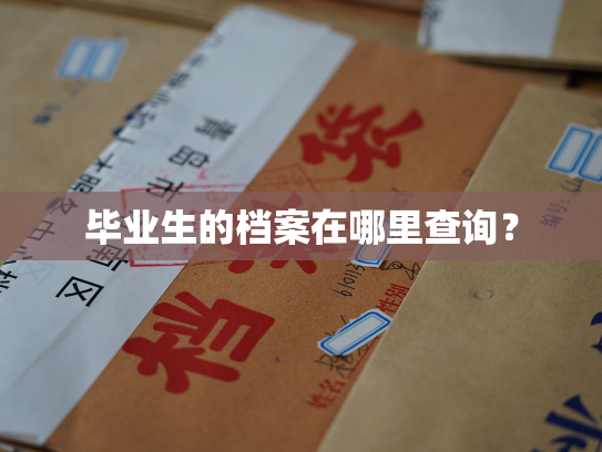 毕业生的档案在哪里查询？