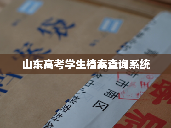 山东高考学生档案查询系统