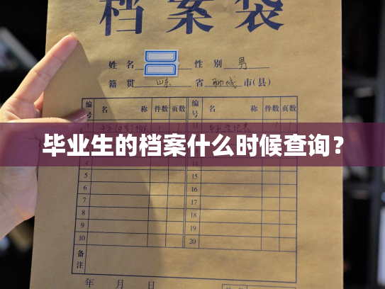 毕业生的档案什么时候查询？