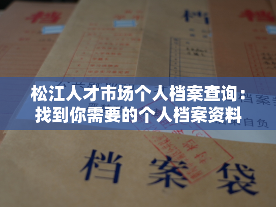 松江人才市场个人档案查询：找到你需要的个人档案资料