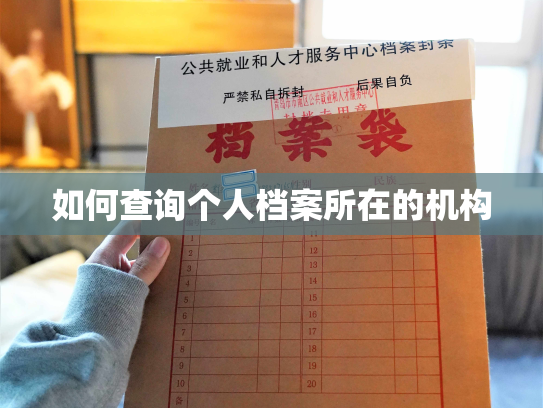 如何查询个人档案所在的机构