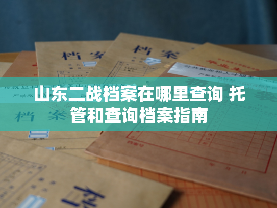 山东二战档案在哪里查询 托管和查询档案指南