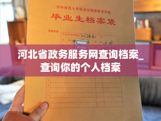 河北省政务服务网查询档案_查询你的个人档案