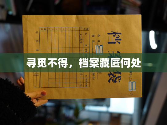 寻觅不得，档案藏匿何处