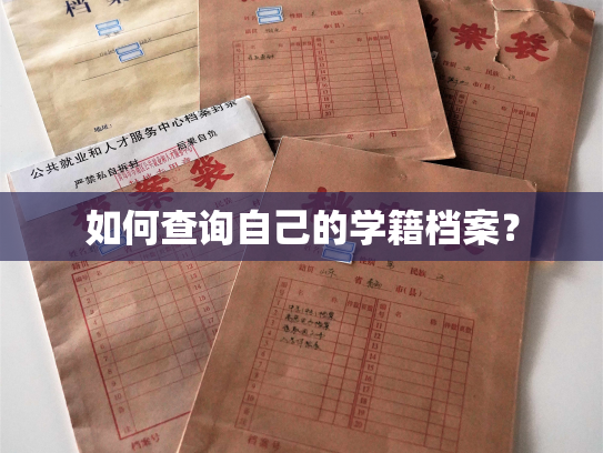 如何查询自己的学籍档案？